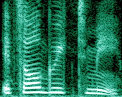Spectrogram depicting a brief segment of human speech