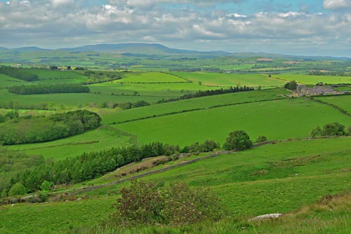 Northumbrian countryside