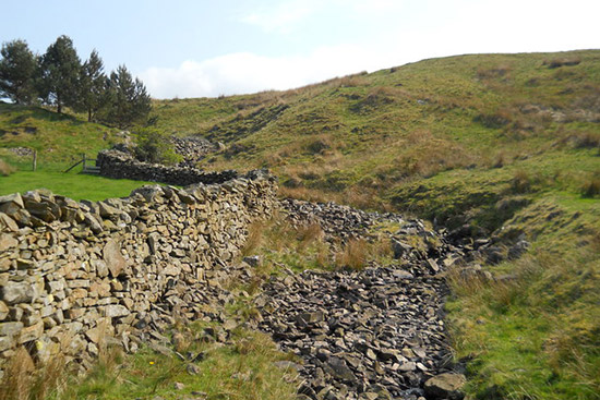 Clatter Beck, photo by David Brown