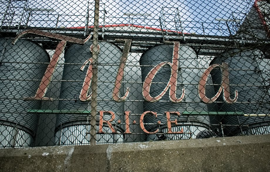 Tilda rice factory