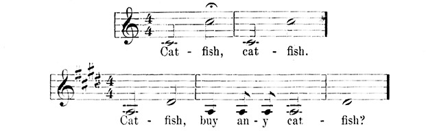 Catfish 2