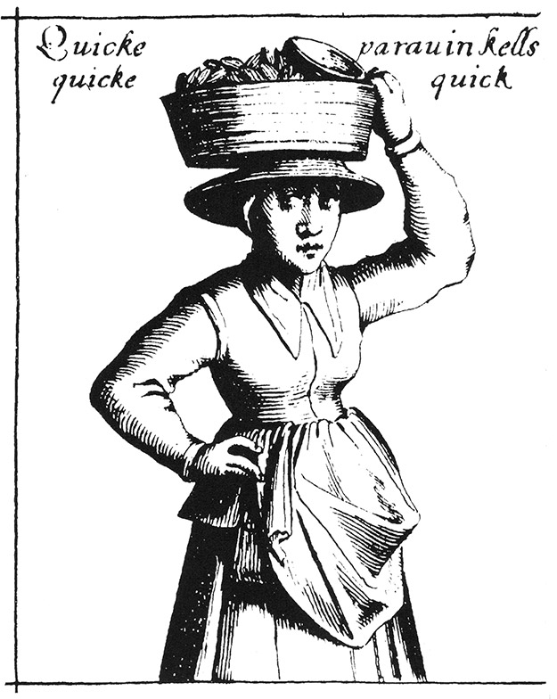 Quicke parauinkells